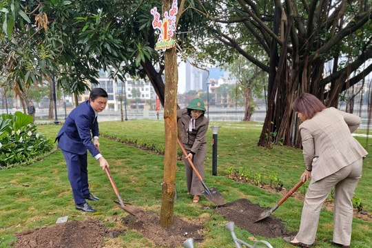 Phường Ô Chợ Dừa phát động Tết trồng cây Xuân Bính Ngọ