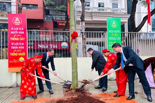 Phường Đống Đa: Tích cực trồng cây cho không gian Thủ đô thêm xanh