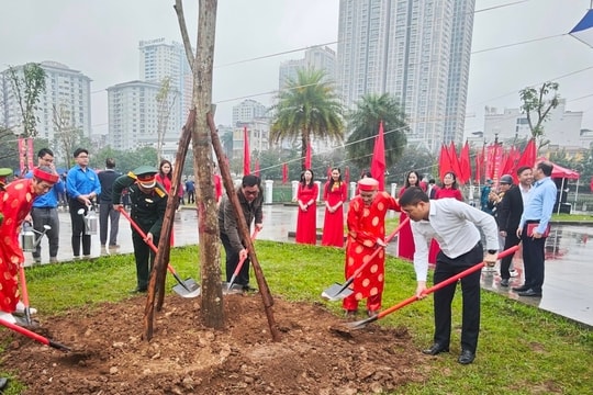 Phường Từ Liêm phấn đấu trồng mới ít nhất 3.000 cây xanh