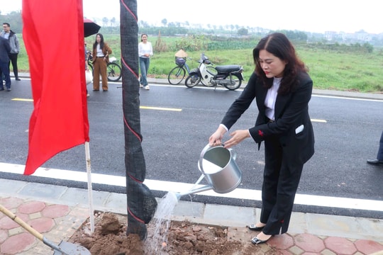 Phù Đổng trồng 2.000 cây các loại trong Tết trồng cây