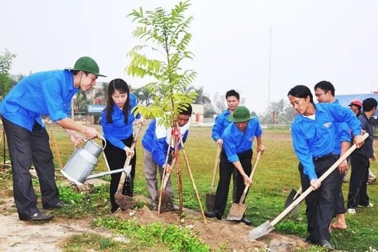 Hà Nội đồng loạt tổ chức “Tết trồng cây đời đời nhớ ơn Bác Hồ”