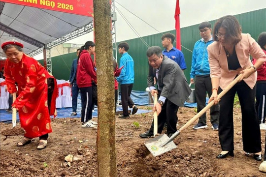 Thanh Trì phấn đấu trồng mới 3.000 cây xanh