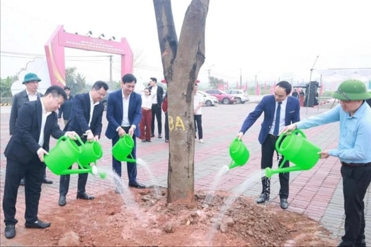 Phủ xanh xã đảo Minh Châu bằng 5.000 cây trồng mới