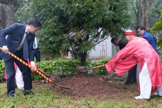 Rộn ràng Tết trồng cây tại xã Dương Hòa