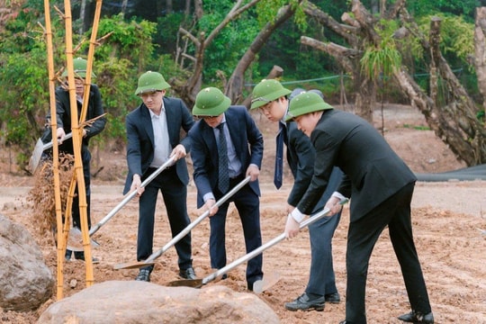 Hà Nội Xã Sóc Sơn phấn đấu trồng mới 5.000 cây xanh trong năm 2026