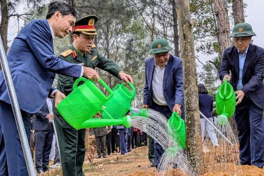 Năm 2026, Đoài Phương phấn đấu trồng 5.000 cây xanh các loại