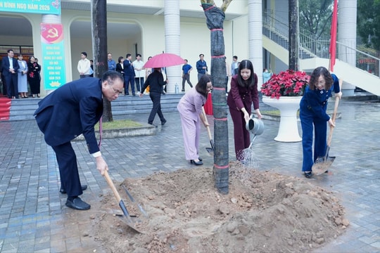Xã Đan Phượng phấn đấu trồng 2.000 cây xanh trong năm 2026