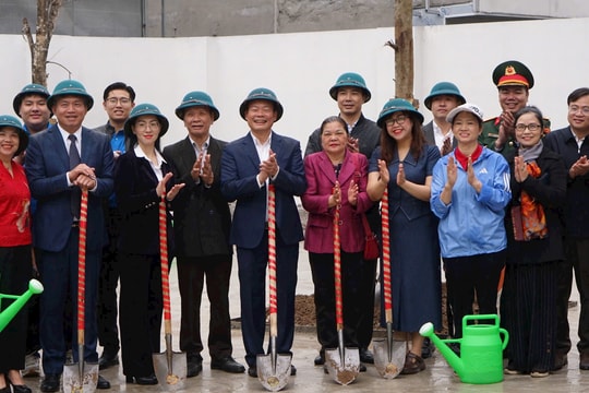 Phường Hồng Hà: Trồng cây xanh để xây dựng đô thị hài hòa với thiên nhiên