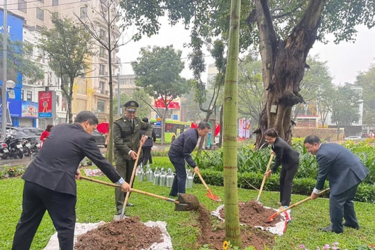 Phường Cửa Nam phát động “Tết trồng cây đời đời nhớ ơn Bác Hồ”