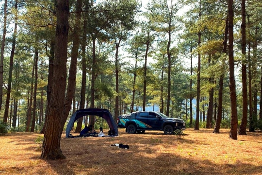 Camping dịp Tết: Xu hướng xê dịch mới của giới trẻ Hà Nội