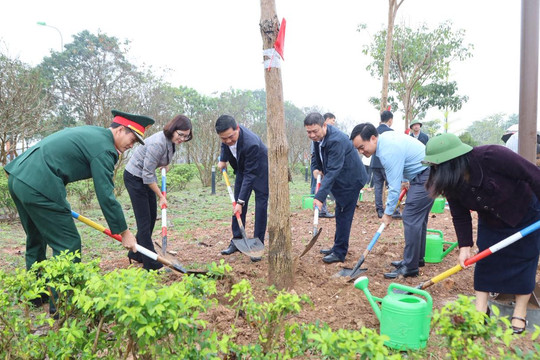 Xã Quang Minh phát huy vai trò của đoàn viên, thanh niên, hội viên các đoàn thể trong chăm sóc và bảo vệ cây xanh