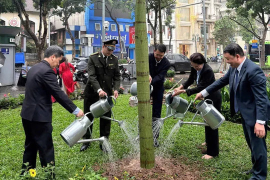 Phường Cửa Nam: Nâng cao nhận thức bảo vệ môi trường từ phong trào Tết trồng cây