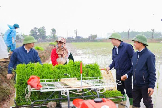 Cánh đồng Kiều Phú rộn vang nhịp máy đầu Xuân
