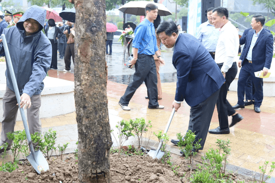 Phường Tây Hồ: Khởi đầu Xuân Bính Ngọ bằng khát vọng xanh hóa đô thị