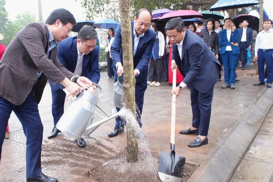 Năm 2026, xã Tây Phương trồng khoảng 5.000 cây xanh phân tán