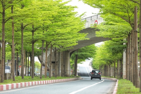 Cho Hà Nội thêm ngát những mùa xanh...