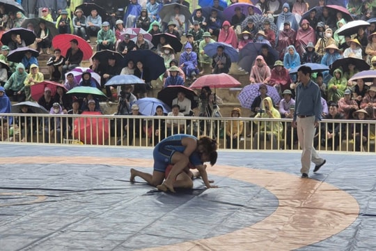 Video nhap 20260223191825