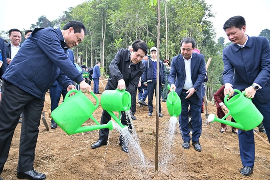 Chủ tịch nước: Tiếp tục đưa phong trào trồng cây đi vào chiều sâu, thực chất