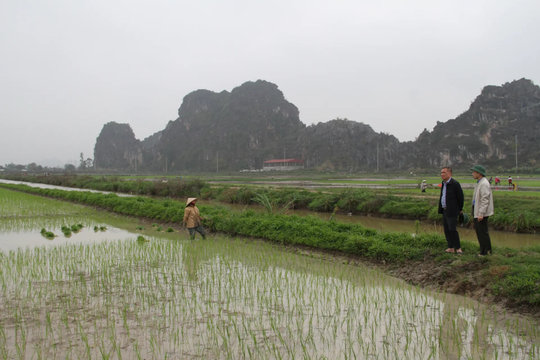 Vì một vụ mùa bội thu