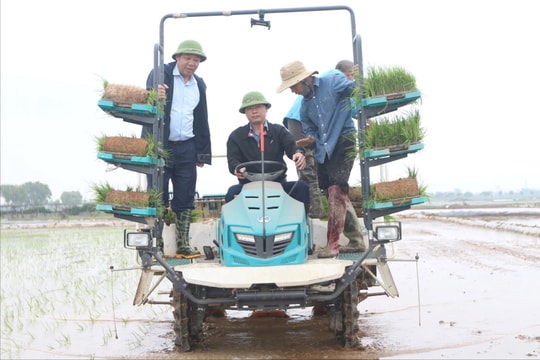 Bí thư xã Tây Phương xuống đồng cấy lúa với Nhân dân