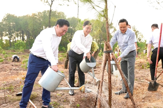 Huế phát động “Tết trồng cây đời đời nhớ ơn Bác Hồ” Xuân Bính Ngọ
