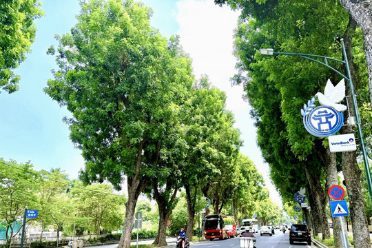 Lan tỏa tinh thần bảo vệ môi trường, nhân lên những mùa xuân
