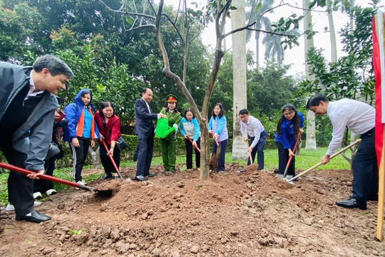 Tây Hồ triển khai công trình Tết trồng cây tại Khu Di tích Phủ Chủ tịch