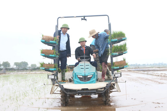 Xã Tây Phương: tất bật cho vụ mùa mới