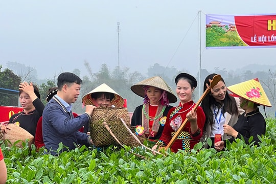 Hội Xuân tưng bừng trên những đồi chè An toàn khu Định Hóa