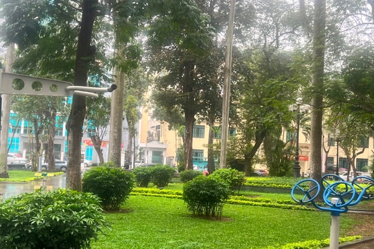 Vườn hoa, không gian công cộng Hà Nội khoe sắc ngày xuân