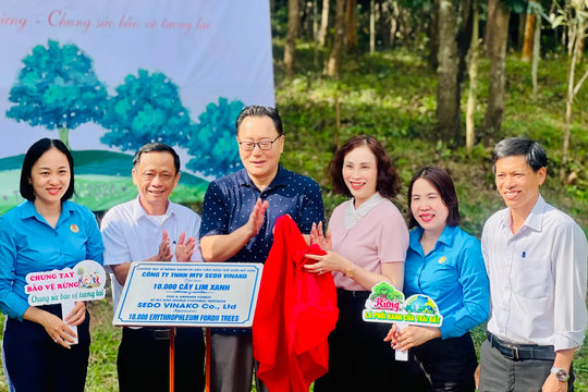 Đà Nẵng hưởng ứng Tết trồng cây đầu Xuân Bính Ngọ