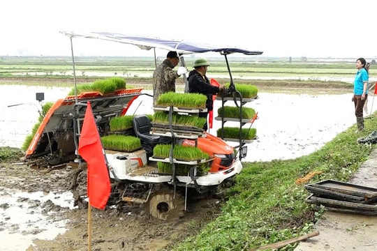 Bình Minh định hình quy hoạch nông nghiệp xanh, sinh thái