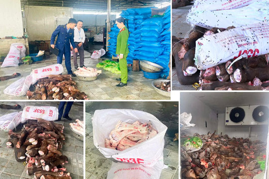 Thu giữ gần 6 tấn thực phẩm bẩn tại Thanh Hóa