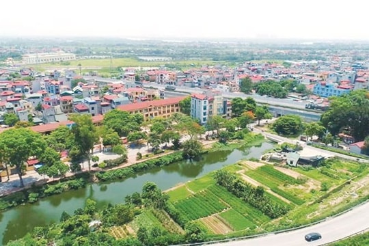 Giao hơn 7.452m² đất tại xã Thanh Trì thực hiện dự án nhà ở thấp tầng