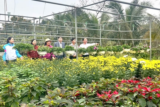 Hội Nông dân phường Tùng Thiện: Điểm tựa vững chắc cho hội viên phát triển sản xuất