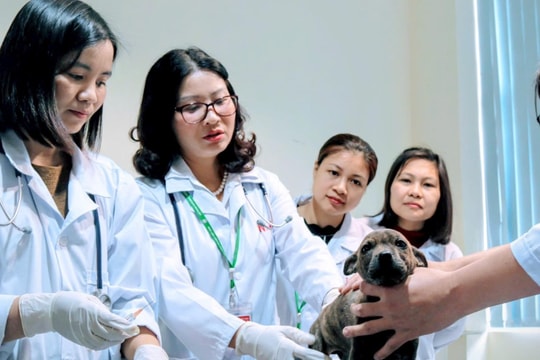Nữ đại biểu Quốc hội, nhà khoa học tâm huyết với nông nghiệp Thủ đô