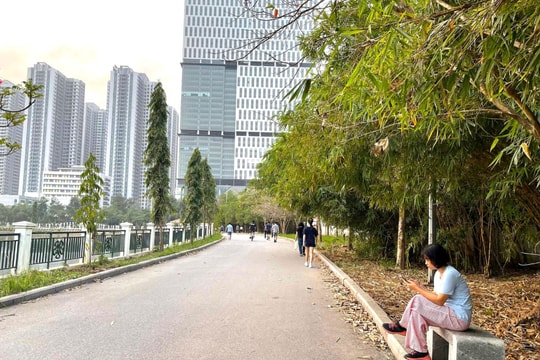 Khi công viên được chỉnh trang: Không gian xanh trở lại với nhịp sống cư dân