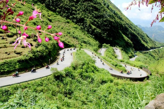 Hơn 13 nghìn đối tác du lịch tại Việt Nam trong danh sách Điểm đến thân thiện nhất thế giới