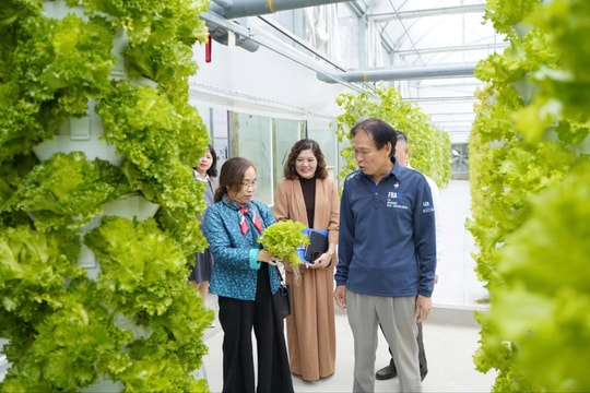 Chuyên Mỹ khơi dậy nội lực làng nghề, nông nghiệp công nghệ cao