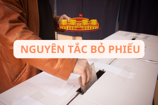 [Podcast] Nguyên tắc bỏ phiếu bầu cử