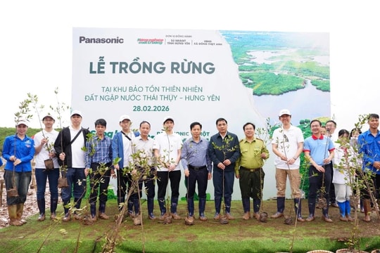 Trao tặng 9.000 cây bần chua phục hồi rừng ngập mặn ven biển