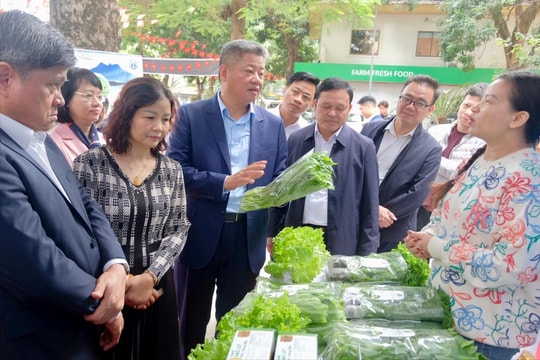 Giữ vững vùng nguyên liệu để ổn định xuất khẩu nông sản