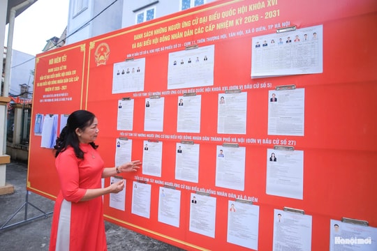 Cử tri Thủ đô chủ động tìm hiểu ứng cử viên trước ngày bầu cử