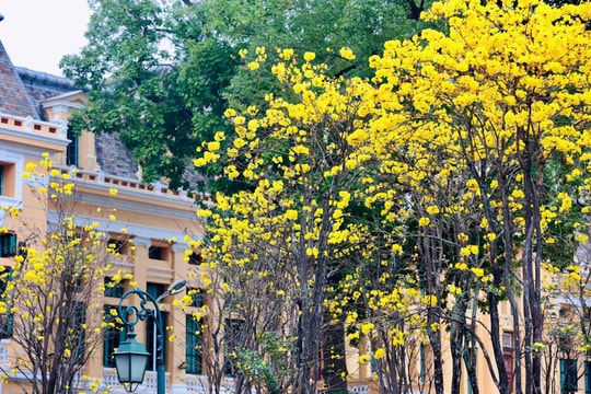 Hà Nội sương mù nhẹ, trưa chiều hửng nắng