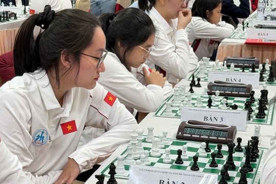 Giải vô địch cờ vua quốc gia năm 2026 quy tụ nhiều đại kiện tướng quốc tế