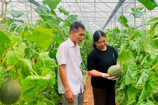 Phụ nữ xã Ứng Thiên khẳng định vai trò trong phát triển kinh tế - xã hội
