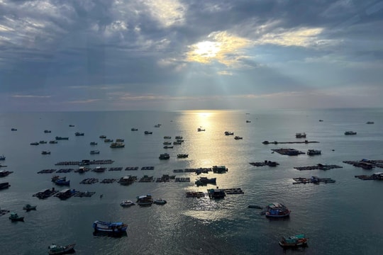 “Quần long hội tụ” đón bình minh mới ở Phú Quốc
