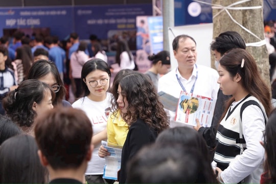 Tuyển sinh đại học 2026: Ngành sư phạm tiếp tục “hút” thí sinh