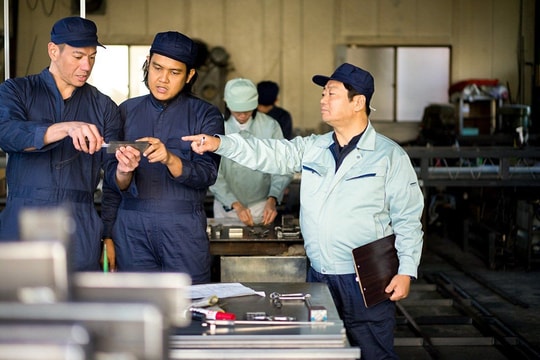 Già hóa dân số thúc đẩy mạnh mẽ số lượng lao động nước ngoài ở nhiều nền kinh tế phát triển
