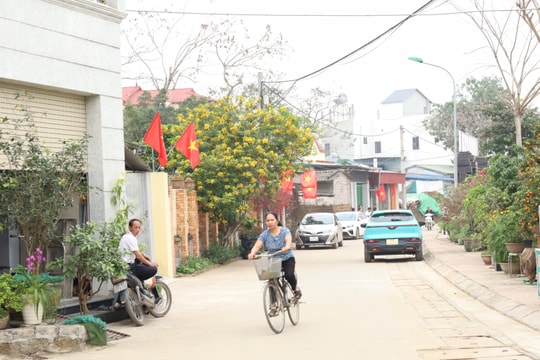 Hà Nội mưa phùn đúng ngày bầu cử